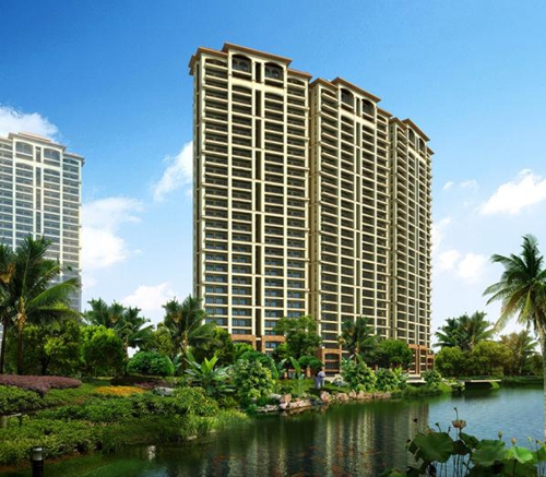 2021年澄迈的房子生纸的空间大吗？