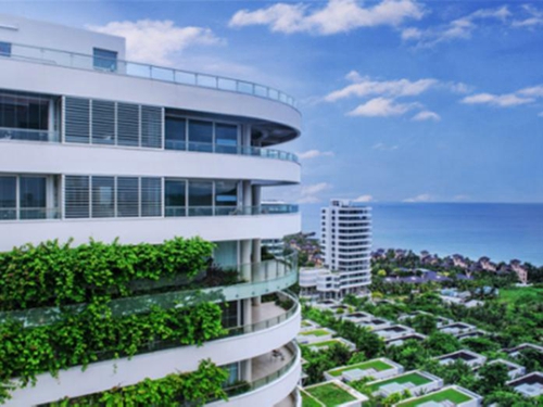 肉末炒韭菜馅怎么炒 肉末炒韭菜馅怎么炒