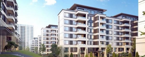 酁字组词 酁字组词